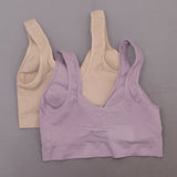 Rhonda Shear Plus Size 2 Pack Seamless Modal Bras