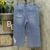 DG2 by Diane Gilman Women's Plus Size Embroidered Cropped Wide Leg Jeans