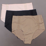 Rhonda Shear Women's Plus Size 3 Pack Mesh Detail Brief Panties