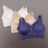 Rhonda Shear 3 Pack Back Closure Betty Pin Up Bras Neutrals XL