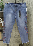DG2 by Diane Gilman Women's Plus Size Embroidered Pull-On Faux Button Jeans