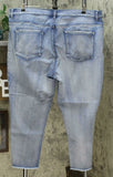 DG2 by Diane Gilman Plus Size Sorbet Floral Applique Ankle Jeans Midtone 24W