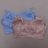 Rhonda Shear 2 Pack Lace Leisure Bras With Removable Pads Mocha/ Blue Plus 2X