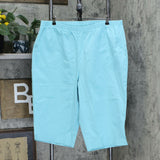 Denim & Co. Plus Size How Timeless Stretch Twill Pedal Pusher Pants