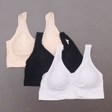 Rhonda Shear 3 Pack Jacquard Ahh Bras With Removable Pads Neutrals Plus 1X