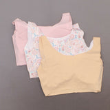 Rhonda Shear 3 Pack Body Bras With Removable Pads Pink Multi XL