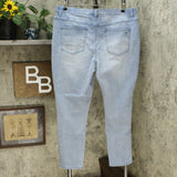 DG2 by Diane Gilman Classic Stretch Denim 5 Pocket Jeggings Chambray Plus 1X