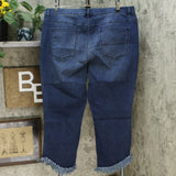 DG2 by Diane Gilman Embellished Fringe Hem Cropped Jeans Indigo Plus 22W