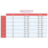 Breezies 2 Pack Lace Essentials Full Brief Panties Fashion Plus 3X