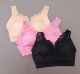 Rhonda Shear Women's Plus Size 3 Pack Pinup Bras With Removable Pads
