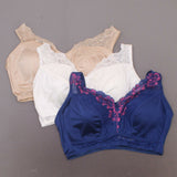 Rhonda Shear Plus Size 3 Pack Betty Pin-Up Bras Darks 3X