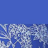 Women with Control Plus Size Renee's Reversible Crop Pants