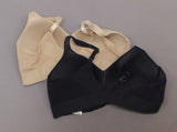 Rhonda Shear Women's Plus Size 2 Pack Molded Cup Bras With Mesh Back Detail