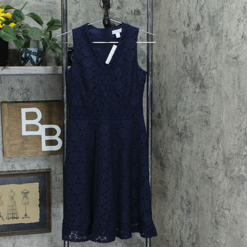 Charter Club Petite Lace Fit And Flare Dress – Biggybargains