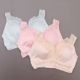 Rhonda Shear 3 Pack Betty Pin-Up Bras with Pads and Adjustable Back Lights Large