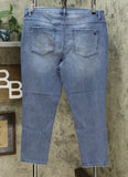 DG2 by Diane Gilman Women's Plus Size Classic Stretch Skinny Jeans