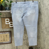 DG2 by Diane Gilman Stretch Artwork Slim Leg Jeans Petite Plus 22WP Chambray