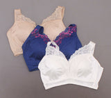 New Rhonda Shear LOT OF 3 "Betty" Pin-Up Bra With Pads. 709329-Plus-NEW 2X