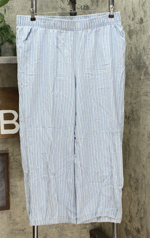 DG2 by Diane Gilman SoftCell Denim Wide Leg Pants Blue 1X Petite