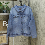 DG2 by Diane Gilman Leaf Embroidered Trucker Jean Jacket Midtone Plus 3X