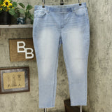 DG2 by Diane Gilman Classic Stretch Denim 5 Pocket Jeggings Chambray Plus 1X