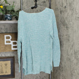 Style & Co Plus Size V-Neck Cotton Sweater