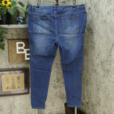 G by Giuliana Women's Plus Size Downtown Denim Skinny Jeans