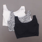 Rhonda Shear 3 Pack Body Bras With Removable Pads Black/ Leopard/ White Large