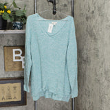 Style & Co Plus Size V-Neck Cotton Sweater