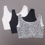 Rhonda Shear 3 Pack Body Bras Black/ Snow Leopard/ White Large