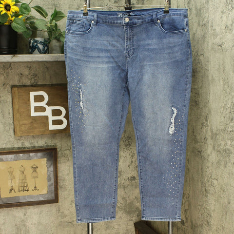 DG2 by Diane Gilman Embellished Distressed Anniversary Jeans Petite 20W Midtone