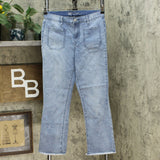 DG2 by Diane Gilman Star Needle Punch Cropped Jeans Chambray 6 Tall