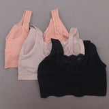 Rhonda Shear 3 Pack Plus Size Cotton Blend Bras with Lace Inset Pink Multi 2X